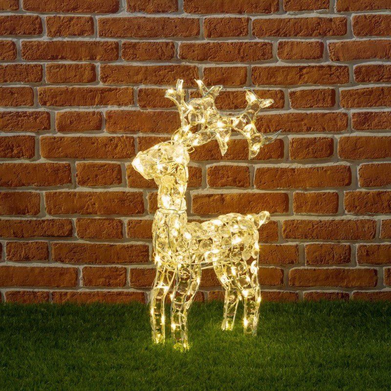 Immagine prodotto 1
